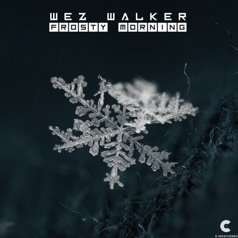 wezwalker1